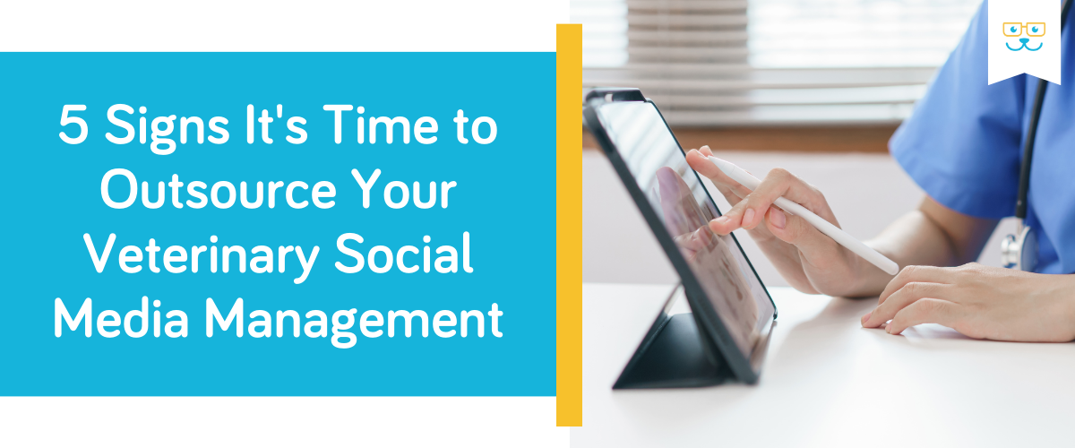 5 Signs It's Time to Outsource Your Veterinary Social Media Management