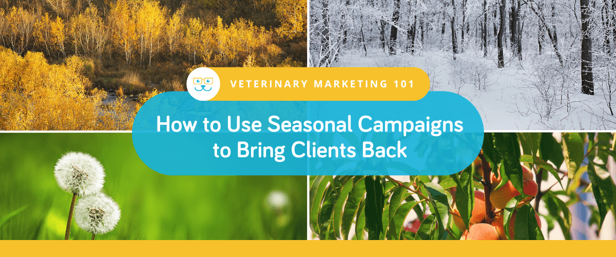 How to Use Seasonal Campaigns to Bring Clients Back