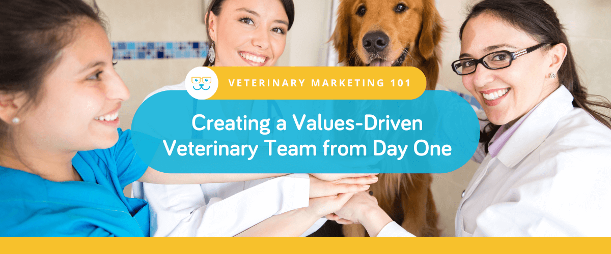 Creating a Values-Driven Veterinary Team from Day One