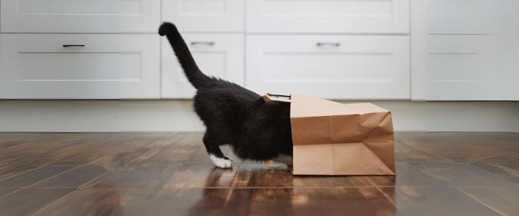 Black and white cat searching through paper bag.