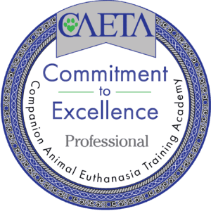 CAETA Certificate - Commitment to Excellence