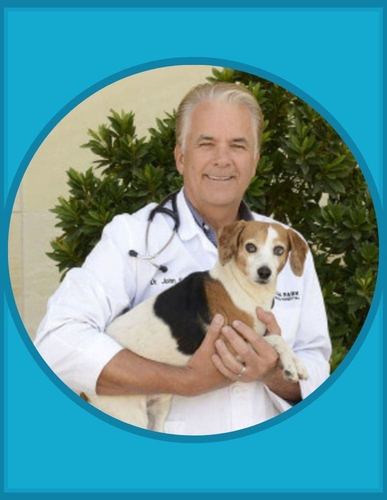 Dr. John Ensign, Owner, Boca Park Animal Hospital