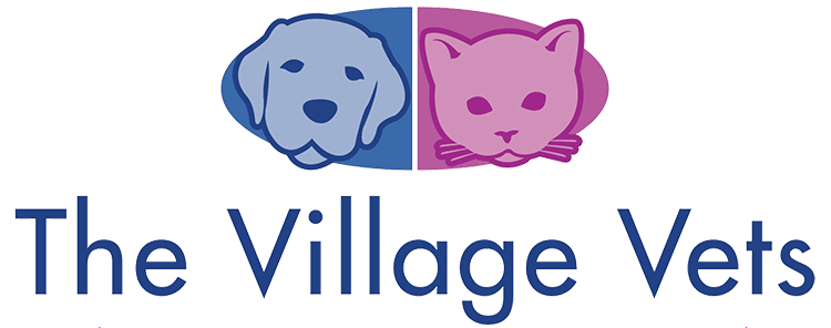 <span>Village Vets Lilburn-Stone Mountain</span>
 logo