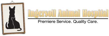 <span>Ingersoll Animal Hospital</span>
 logo