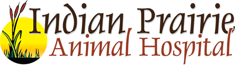 <span>Indian Prairie Animal Hospital</span>
 logo