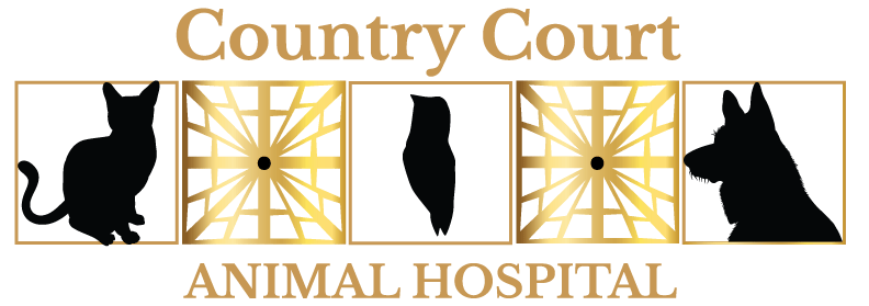 <span>Country Court Animal Hospital</span>
 logo