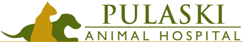 <span>Pulaski Animal Hospital</span>
 logo