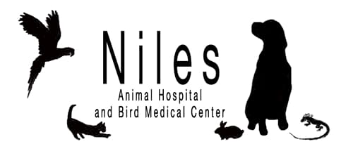 <span>Niles Animal Hospital and Bird Medical Center</span>
 logo