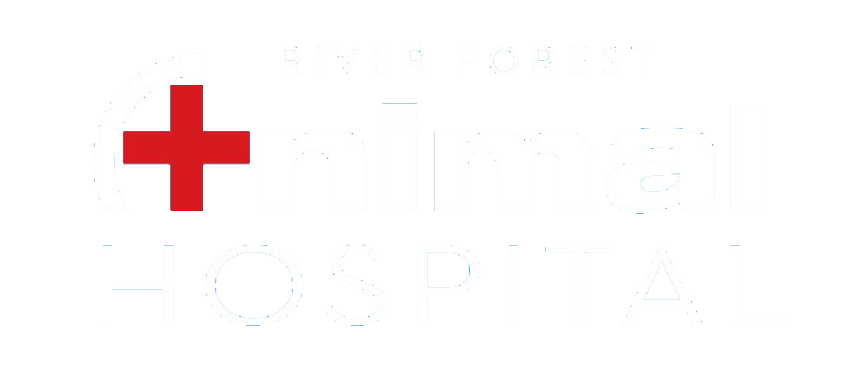 Homepage  River Forest Animal Hospital