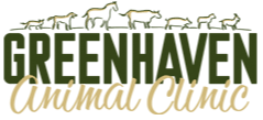 <span>Greenhaven Animal Clinic</span>
 logo