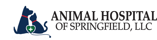 <span>Animal Hospital of Springfield LLC</span>
 logo