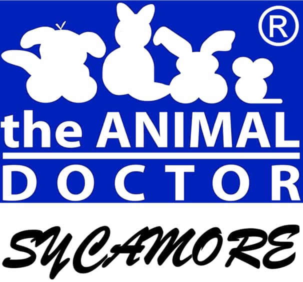 <span>Sycamore Animal Hospital</span>
 logo