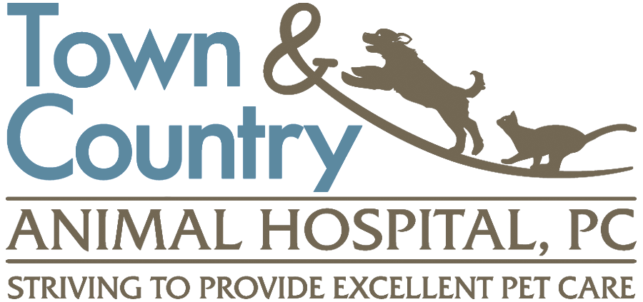 <span>Town & Country Animal Hospital</span>
 logo