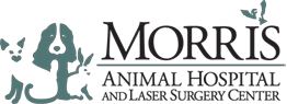 <span>Morris Animal Hospital</span>
 logo