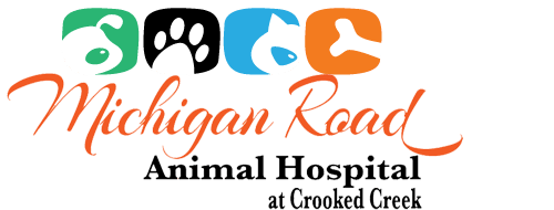 <span>Michigan Road Animal Hospital at Crooked Creek</span>
 logo