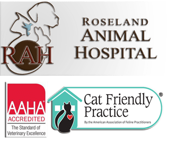 <span>Roseland Animal Hospital</span>
 logo