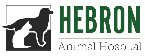 <span>Hebron Animal Hospital</span>
 logo