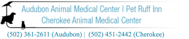 <span>Audubon Animal Medical Center</span>
 logo