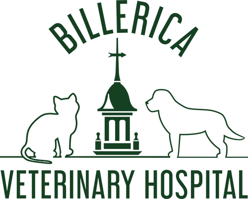 <span>Mcgrath Animal Hospital</span>
 logo