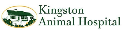 <span>Kingston Animal Hospital</span>
 logo