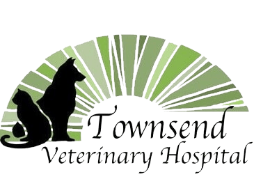 <span>Townsend Veterinary Hospital</span>
 logo