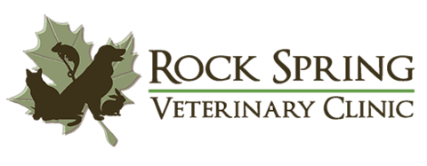 <span>Rock Spring Veterinary Clinic</span>
 logo