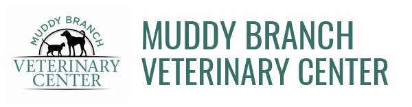 

<!-- THEME DEBUG -->
<!-- THEME HOOK: 'field' -->
<!-- FILE NAME SUGGESTIONS:
   * field--node--title--listing.html.twig
   x field--node--title.html.twig
   * field--node--listing.html.twig
   * field--title.html.twig
   * field--string.html.twig
   * field.html.twig
-->
<!-- BEGIN OUTPUT from 'core/themes/stable/templates/field/field--node--title.html.twig' -->
<span>Muddy Branch Veterinary Center</span>

<!-- END OUTPUT from 'core/themes/stable/templates/field/field--node--title.html.twig' -->

 logo