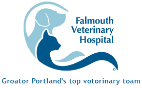 <span>Falmouth Veterinary Hospital</span>
 logo