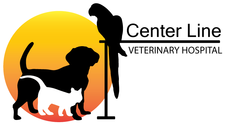 <span>Center Line Veterinary Hospital</span>
 logo