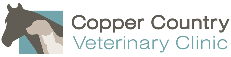 <span>Copper Country Veterinary Clinic</span>
 logo