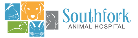 <span>Southfork Animal Hospital</span>
 logo