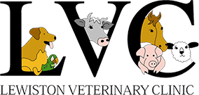 <span>Lewiston Vet Clinic Ltd</span>
 logo