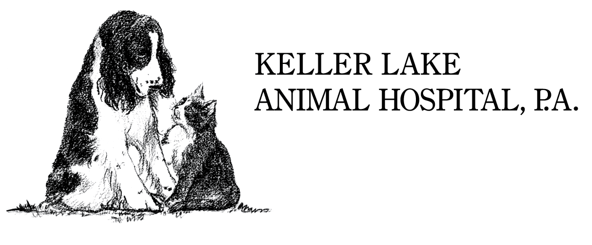 <span>Keller Lake Animal Hospital</span>
 logo