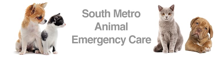 <span>Animal Emergency Care</span>
 logo