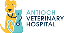 <span>Antioch Veterinary Hospital - Deer Valley</span>
 logo