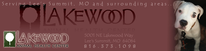 <span>Lakewood Animal Health Center</span>
 logo