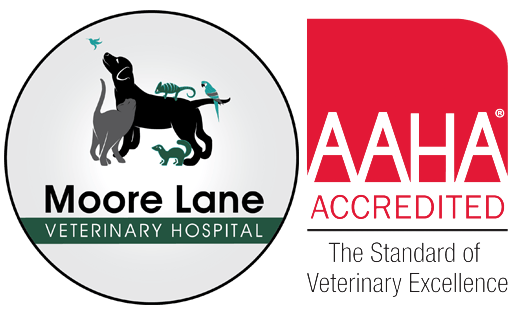 <span>Moore Lane Veterinary Hospital</span>
 logo