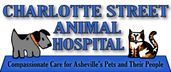 <span>Charlotte St Animal Hospital PA</span>
 logo