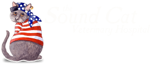 <span>Sound Cat Veterinary Hospital</span>
 logo