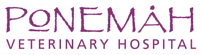 <span>Ponemah Veterinary Hospital</span>
 logo