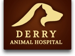 <span>Derry Animal Hospital</span>
 logo