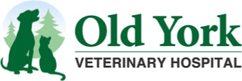 <span>Old York Veterinary Hospital</span>
 logo