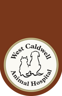 <span>West Caldwell Animal Hospital</span>
 logo