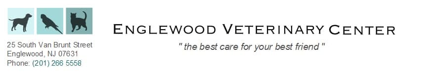 <span>Englewood Veterinary Center</span>
 logo