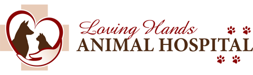 <span>Loving Hands Animal Hospital</span>
 logo