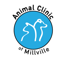 <span>Animal Hospital of Millville</span>
 logo