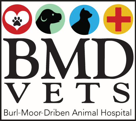 <span>Burl-Moor-Driben Animal Hospital</span>
 logo