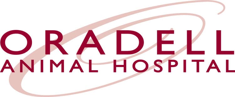 <span>Oradell Animal Hospital</span>
 logo