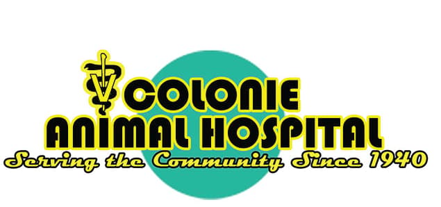 <span>Colonie Animal Hospital</span>
 logo