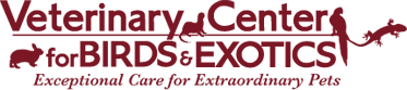 <span>Veterinary Center For Birds & Exotics</span>
 logo